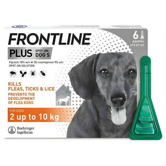 Frontline Plus Flea & Tick Treatment for Small Dogs (2–10 kg) | 6 Pipettes
