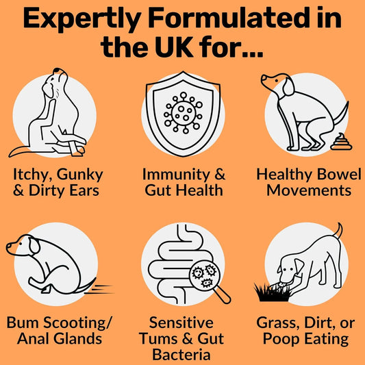 NutriPaw Pre, Pro & Postbiotic Digestive Treats for Dogs – Gut Health Soft Chews