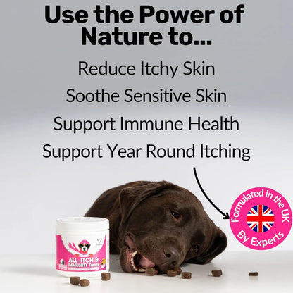NutriPaw All-Itch Immunity Treats for Dogs – Skin & Allergy Support Chews