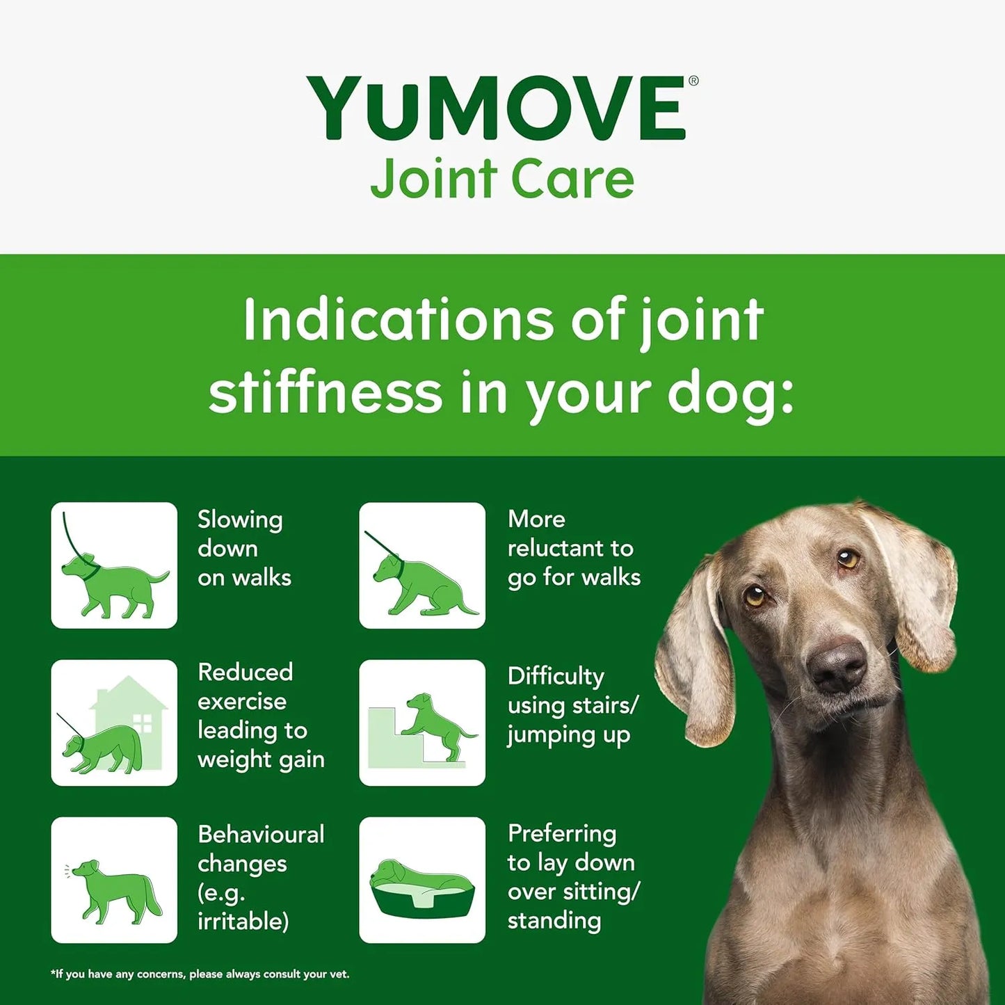 YuMOVE Senior Dog — Hip & Joint Supplement, 240 Tablets