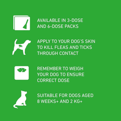 Frontline Plus Flea & Tick Treatment for Large Dogs (20–40 kg) | 6 Pipettes