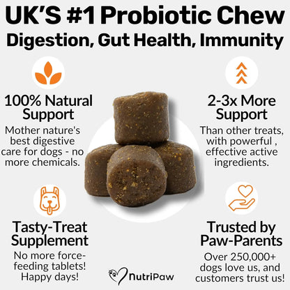 NutriPaw Pre, Pro & Postbiotic Digestive Treats for Dogs – Gut Health Soft Chews