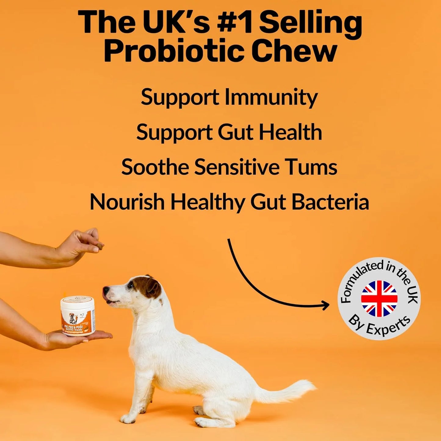 NutriPaw Pre, Pro & Postbiotic Digestive Treats for Dogs – Gut Health Soft Chews