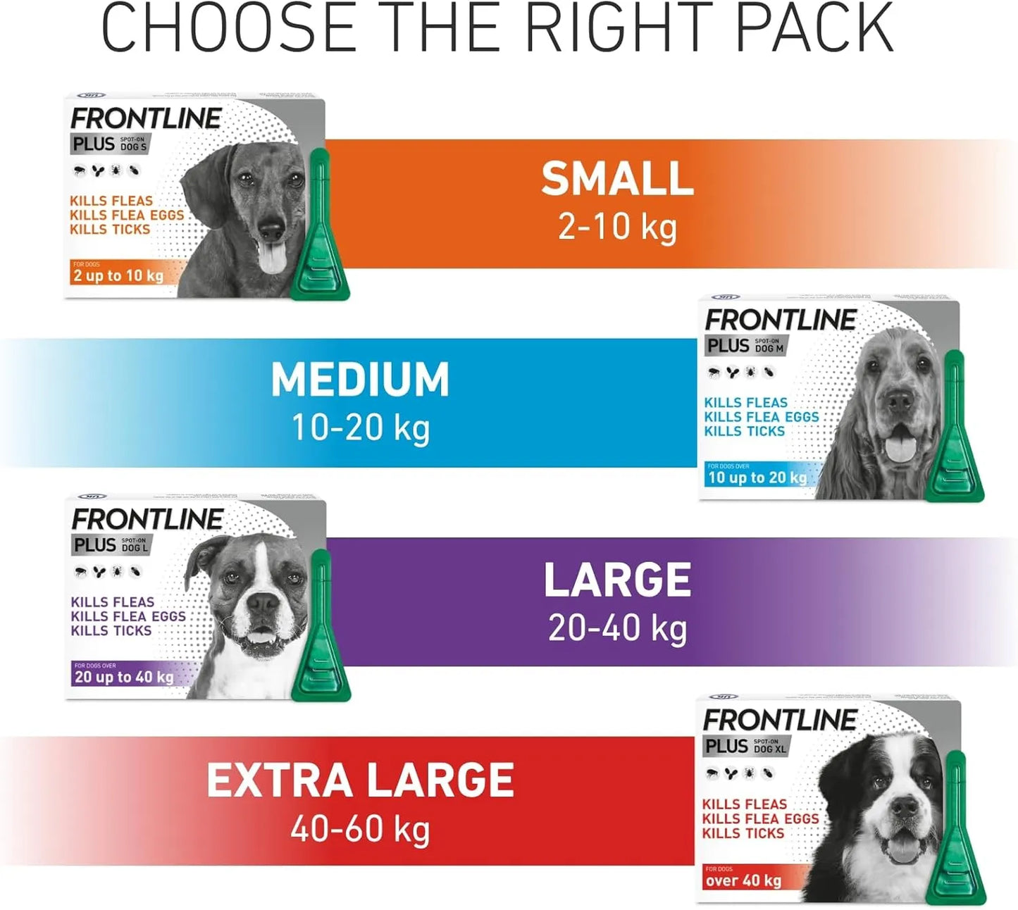Frontline Plus Flea & Tick Treatment for Medium Dogs (10–20 kg) | 6 Pipettes