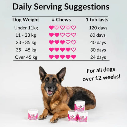 NutriPaw All-Itch Immunity Treats for Dogs – Skin & Allergy Support Chews