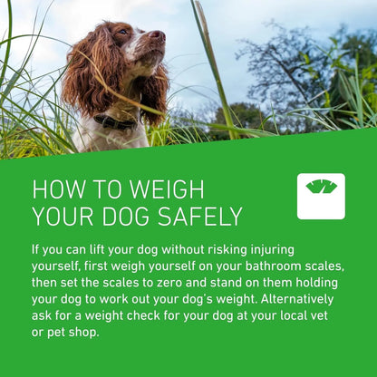 Frontline Plus Flea & Tick Treatment for Large Dogs (20–40 kg) | 6 Pipettes